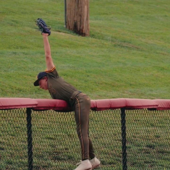 Over-the-Fence Robbery
